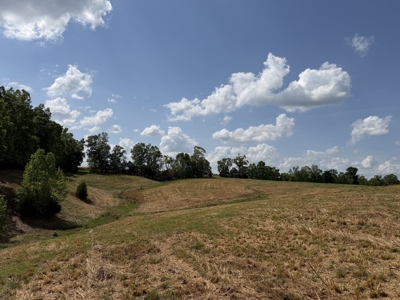 Pasture Land For Sale In Tn, Big Hay Barn, Branch, Fencing - image 29