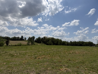 Pasture Land For Sale In Tn, Big Hay Barn, Branch, Fencing - image 18
