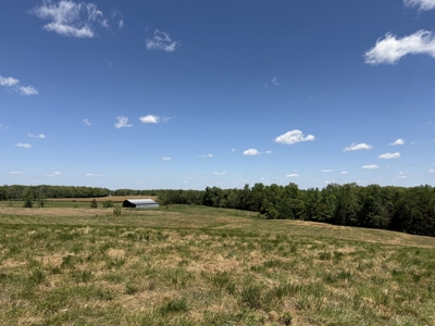 Pasture Land For Sale In Tn, Big Hay Barn, Branch, Fencing - image 41