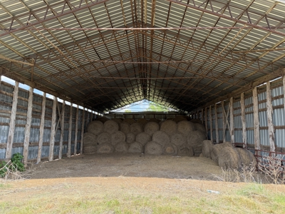Pasture Land For Sale In Tn, Big Hay Barn, Branch, Fencing - image 11