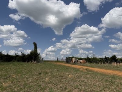 Pasture Land For Sale In Tn, Big Hay Barn, Branch, Fencing - image 7