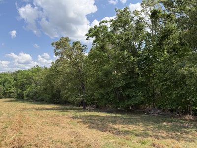 Pasture Land For Sale In Tn, Big Hay Barn, Branch, Fencing - image 28