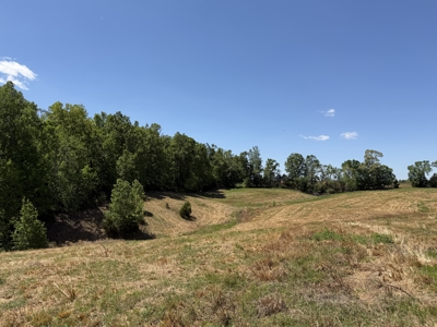Pasture Land For Sale In Tn, Big Hay Barn, Branch, Fencing - image 40