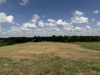 Pasture Land For Sale In Tn, Big Hay Barn, Branch, Fencing - image 44