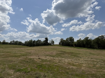 Pasture Land For Sale In Tn, Big Hay Barn, Branch, Fencing - image 22