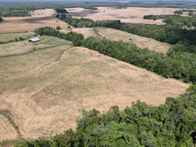 Pasture Land For Sale In Tn, Big Hay Barn, Branch, Fencing - image 49