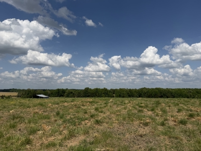 Pasture Land For Sale In Tn, Big Hay Barn, Branch, Fencing - image 45