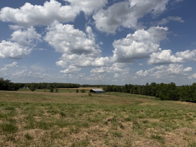 Pasture Land For Sale In Tn, Big Hay Barn, Branch, Fencing - image 26