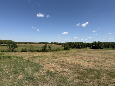 Pasture Land For Sale In Tn, Big Hay Barn, Branch, Fencing - image 33
