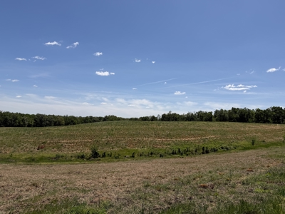 Pasture Land For Sale In Tn, Big Hay Barn, Branch, Fencing - image 34