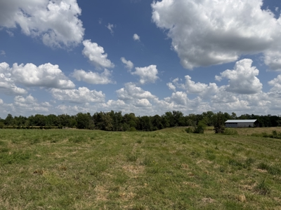 Pasture Land For Sale In Tn, Big Hay Barn, Branch, Fencing - image 20