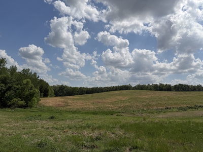 Pasture Land For Sale In Tn, Big Hay Barn, Branch, Fencing - image 24