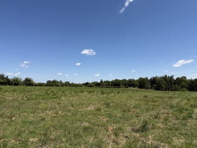 Pasture Land For Sale In Tn, Big Hay Barn, Branch, Fencing - image 32