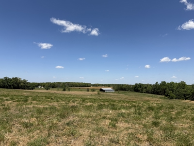 Pasture Land For Sale In Tn, Big Hay Barn, Branch, Fencing - image 43