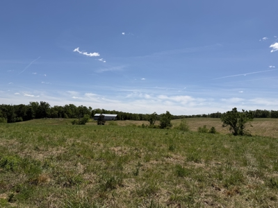 Pasture Land For Sale In Tn, Big Hay Barn, Branch, Fencing - image 31