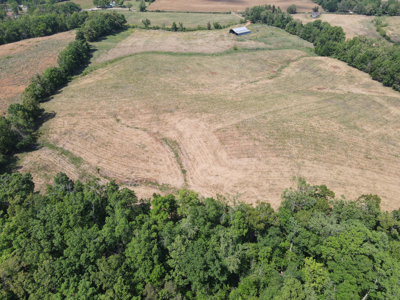 Pasture Land For Sale In Tn, Big Hay Barn, Branch, Fencing - image 17