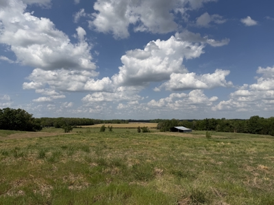Pasture Land For Sale In Tn, Big Hay Barn, Branch, Fencing - image 3