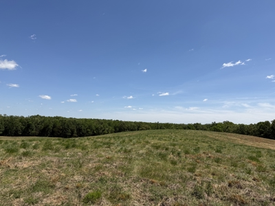 Pasture Land For Sale In Tn, Big Hay Barn, Branch, Fencing - image 37