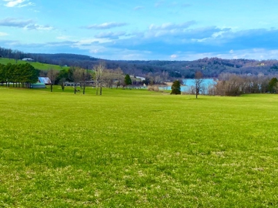 Lakefront Acreage – Gentle Walk-Down Shoreline & Highway Frontage - image 7