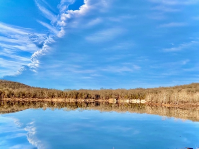 Lakefront Acreage – Gentle Walk-Down Shoreline & Highway Frontage - image 19