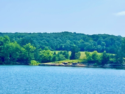 Lakefront Acreage – Gentle Walk-Down Shoreline & Highway Frontage - image 4