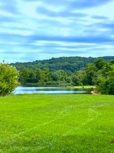 Lakefront Acreage – Gentle Walk-Down Shoreline & Highway Frontage - image 8