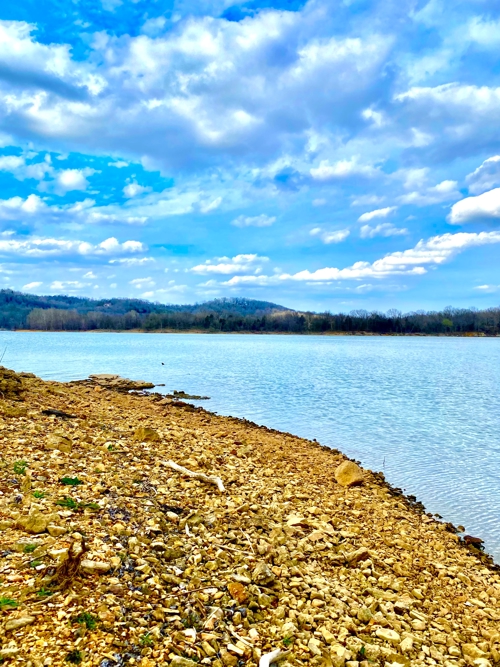 Walk to the water's edge on your private Table Rock Lake shoreline