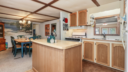 Stylish Home on Bull Shoals Lake Peninsula in Protem, MO - image 8