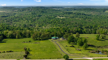 Peace and Tranquility - A Rural Homestead w/ 51 Acres in Kentucky - image 8