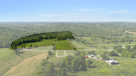 Peace and Tranquility - A Rural Homestead w/ 51 Acres in Kentucky - image 4