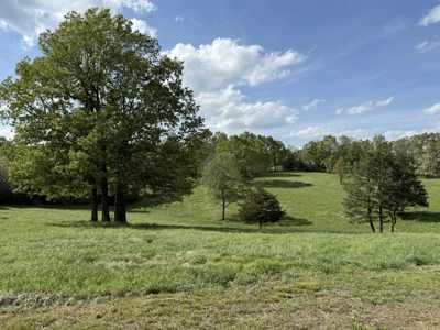 Custom Home And Pastureland For Sale In North Central Arkansas - image 47