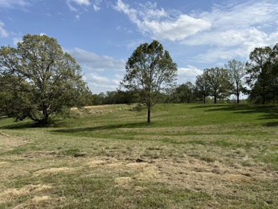 Custom Home And Pastureland For Sale In North Central Arkansas - image 44