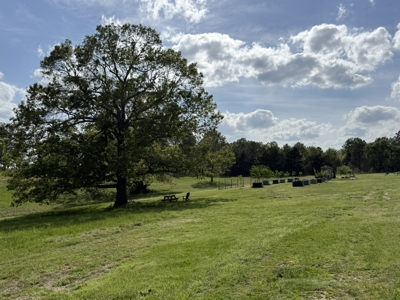 Custom Home And Pastureland For Sale In North Central Arkansas - image 45