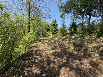 Creek lot for sale in Lawrenceburg, TN - image 8
