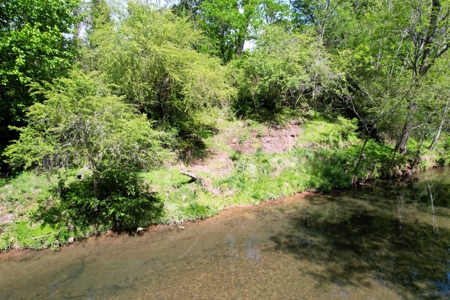 Creek lot for sale in Lawrenceburg, TN - image 5
