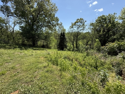 Creek lot for sale in Lawrenceburg, TN - image 11