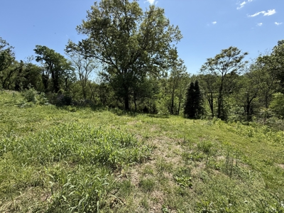 Creek lot for sale in Lawrenceburg, TN - image 6