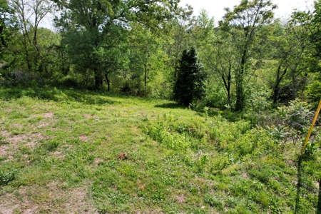 Creek lot for sale in Lawrenceburg, TN - image 16