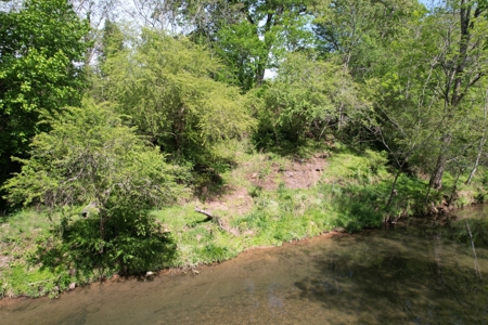 Creek lot for sale in Lawrenceburg, TN - image 12