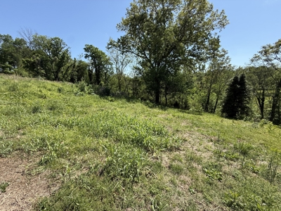Creek lot for sale in Lawrenceburg, TN - image 10