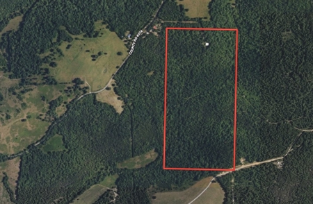 80 Acres + Log Home in Flippin, Arkansas | The Ozarks - image 2