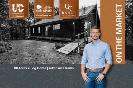 80 Acres + Log Home in Flippin, Arkansas | The Ozarks - image 1