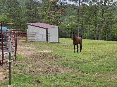 The Ultimate Recreational Property W/Log Home On 7.65 Acres - image 48