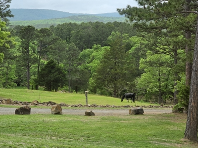 The Ultimate Recreational Property W/Log Home On 7.65 Acres - image 50