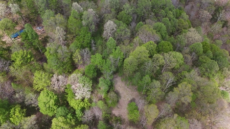Rustic Cabin Retreat Near Dale Hollow Lake - image 18