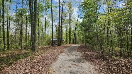 Rustic Cabin Retreat Near Dale Hollow Lake - image 2