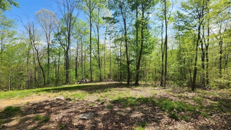 Rustic Cabin Retreat Near Dale Hollow Lake - image 13