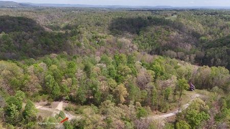 Rustic Cabin Retreat Near Dale Hollow Lake - image 21