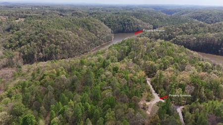 Rustic Cabin Retreat Near Dale Hollow Lake - image 20