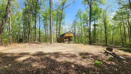 Rustic Cabin Retreat Near Dale Hollow Lake - image 3
